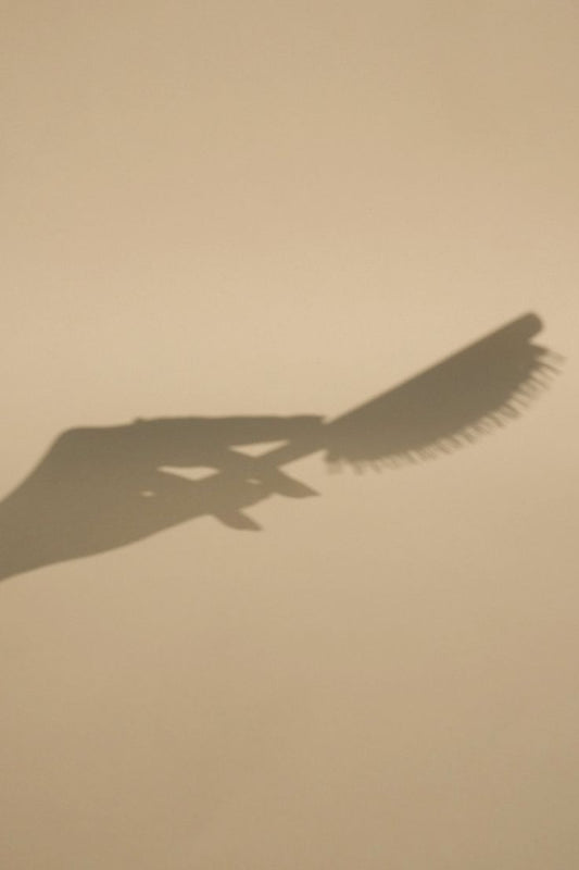 Hair Loss vs Breakage: Knowing the Difference Could Save Your Hairline