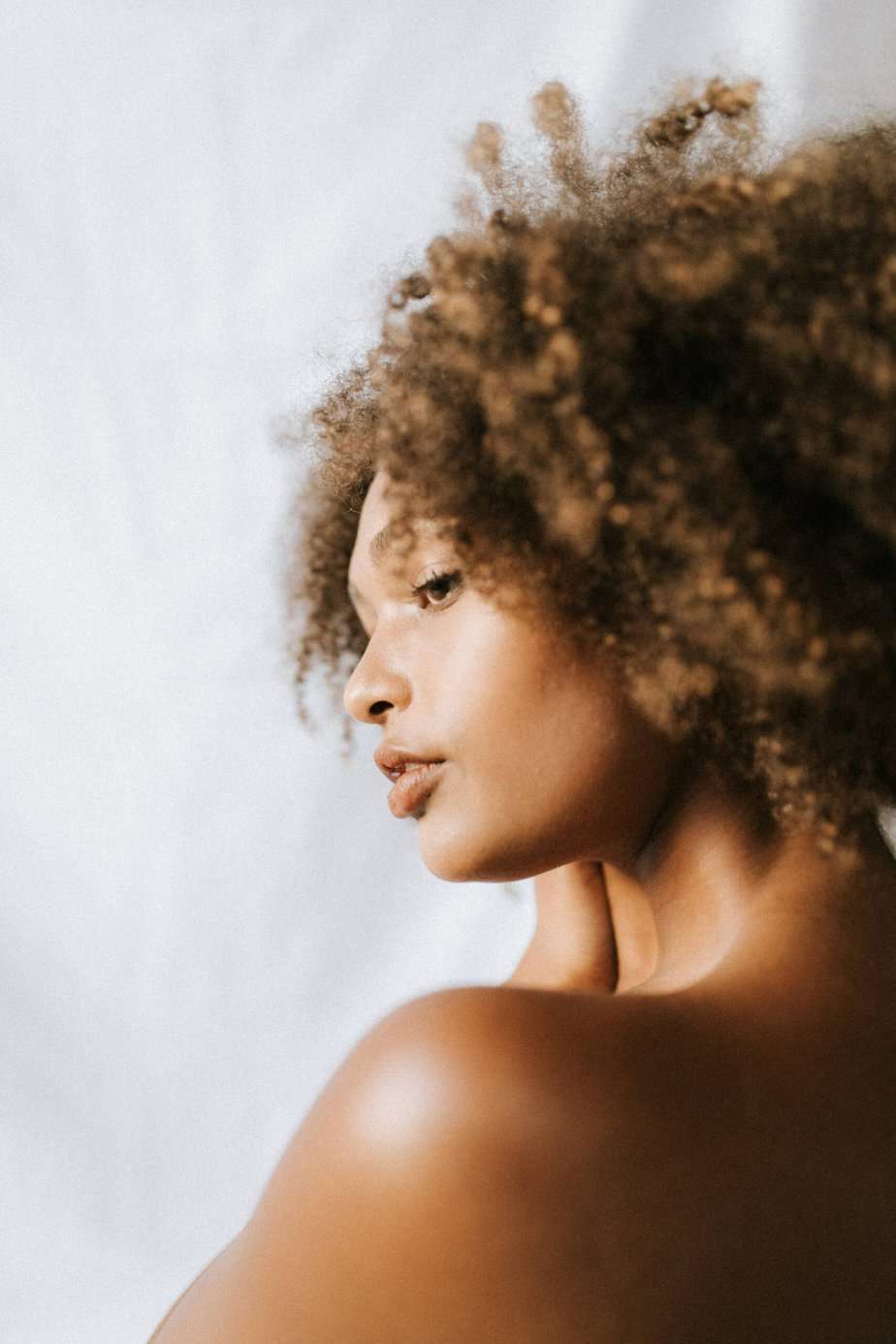 Hard vs. Soft Protein Treatments: Which Does Your Hair Need?
